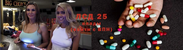 твердый Алзамай