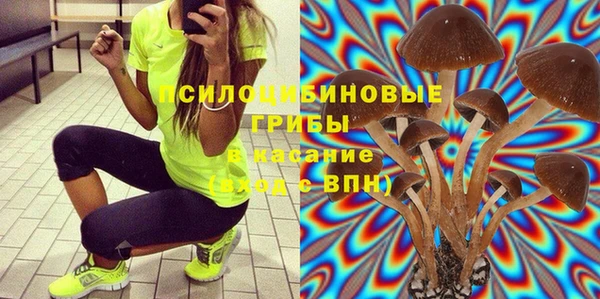 кокс Алексеевка