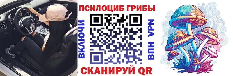Галлюциногенные грибы мицелий  гидра как войти  Арамиль  цены наркотик 